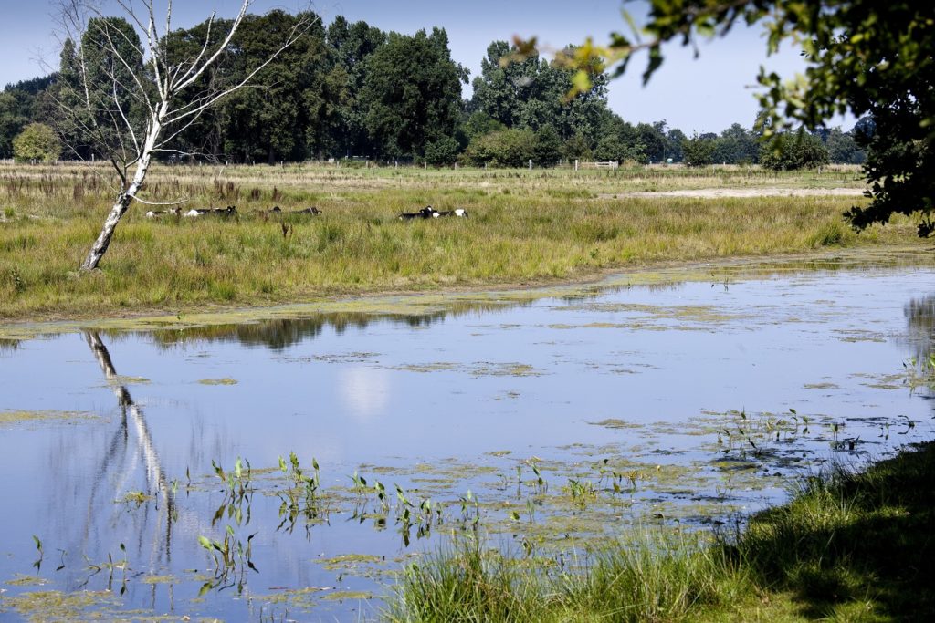 Fietsroute Hellendoorn