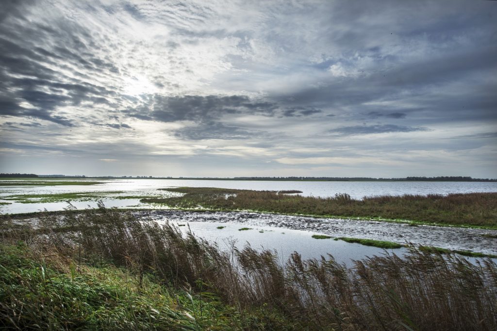 Wandelroute Zoutekamp