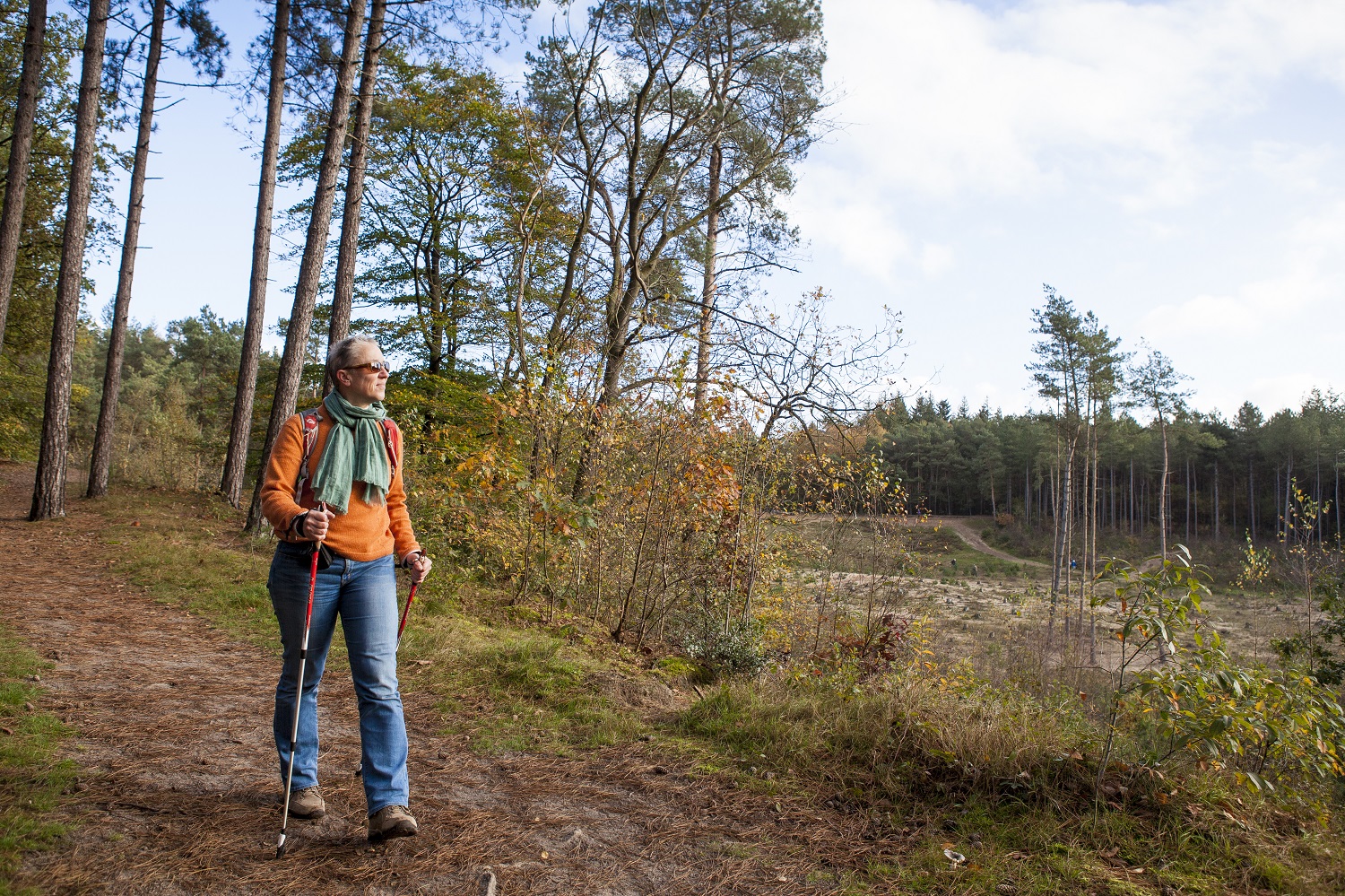 Wandelroute Hollandsche Rading