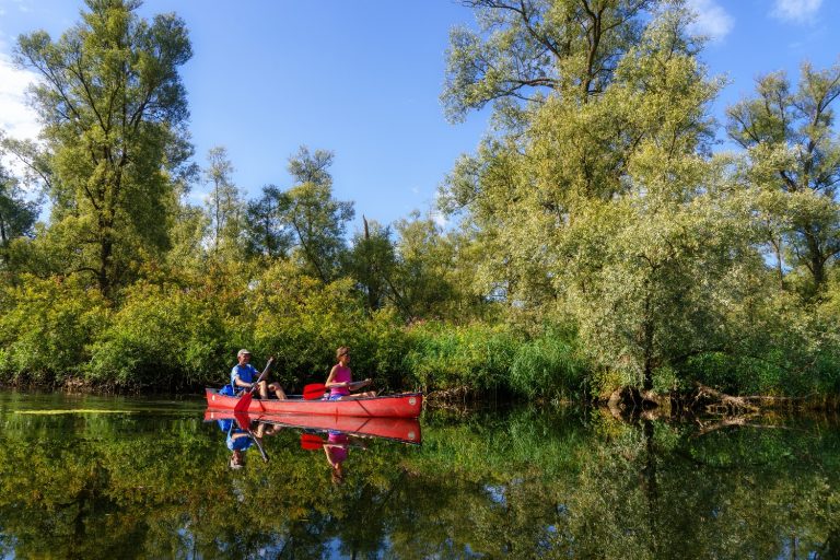 Wampex Biesbosch