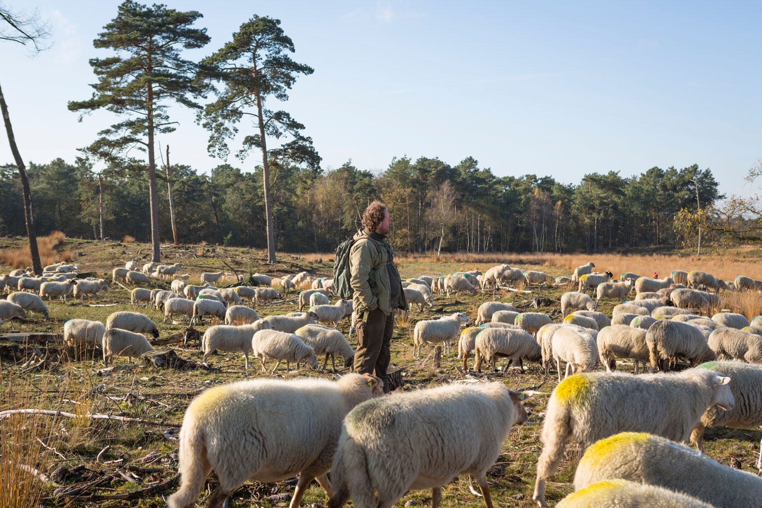 Strabrechtse Heide