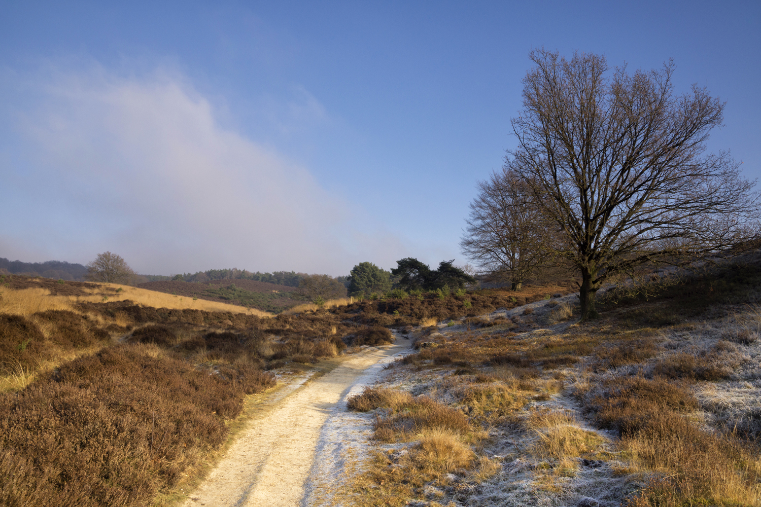 Wandelen Posbank