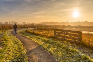 Wandelen