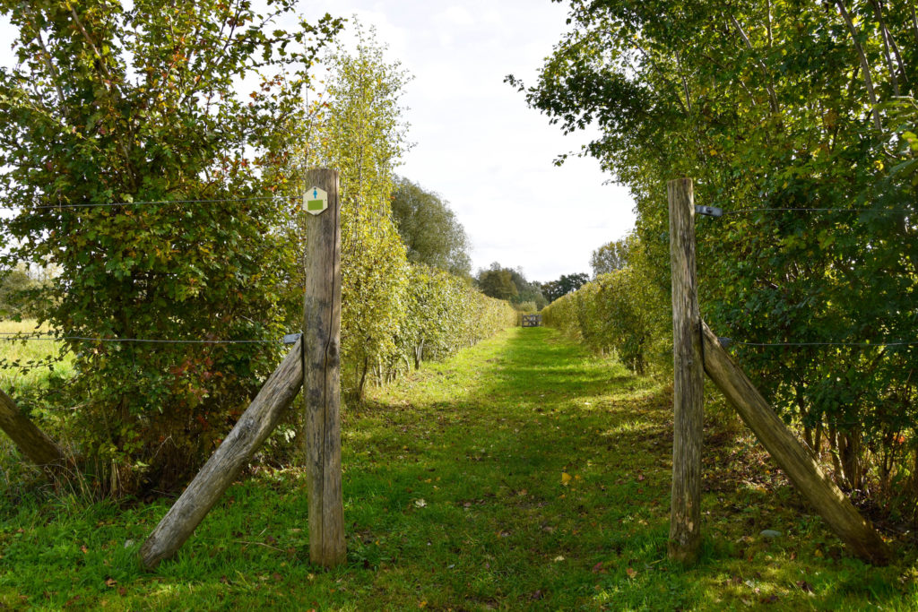 genomineerden beste wandelroute