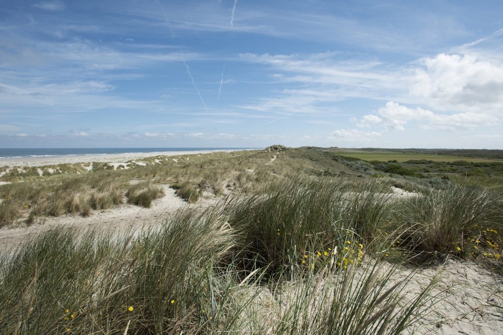 Fietsroute Terschelling