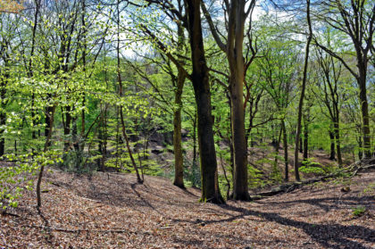 genomineerden beste wandelroute