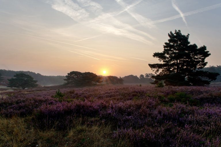 Fietsroutes Zuid-Limburg