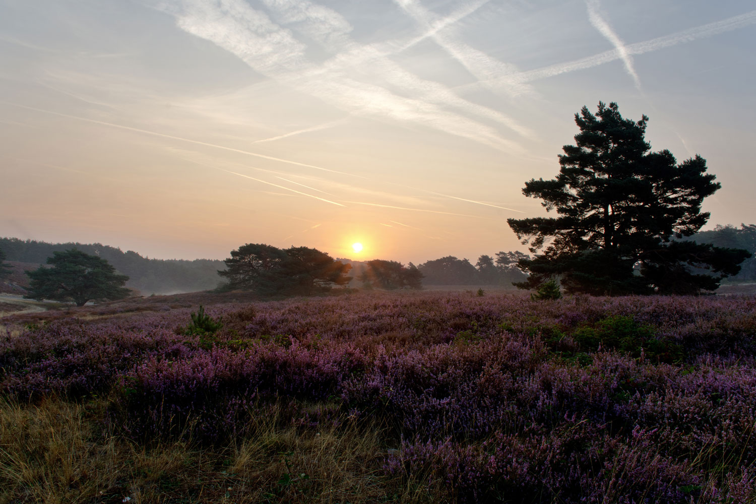 Fietsroutes Zuid-Limburg