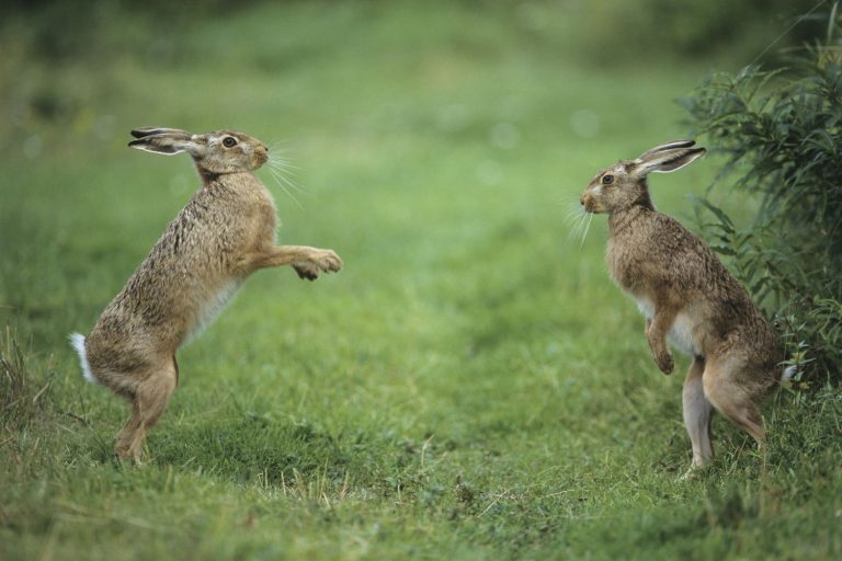 Buitengewone belevenissen Staatsbosbeheer