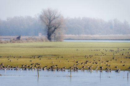 Fietsroute Terwolde