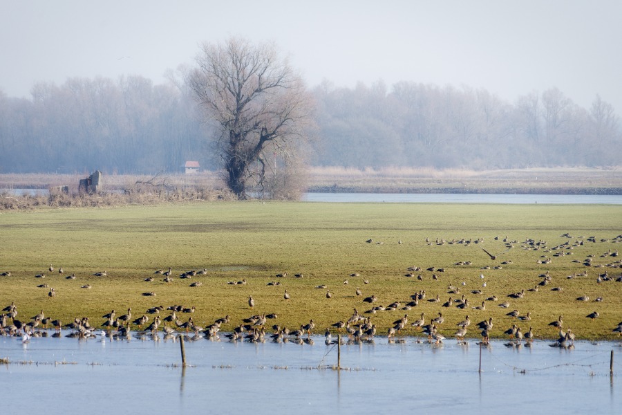 Fietsroute Terwolde