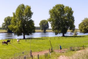 Fietsroute Nijmegen