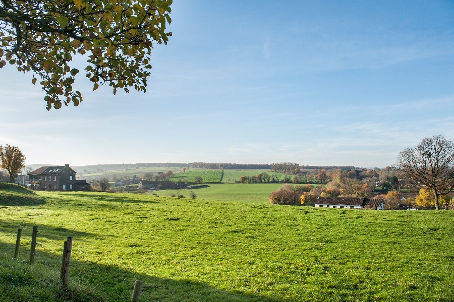 Nederlandse heuvels