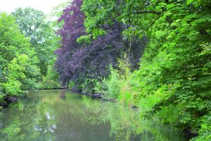 Stadswandeling Almelo