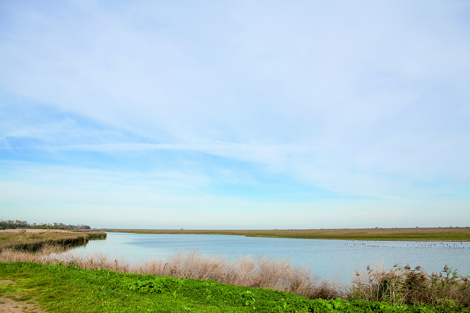 Wandelroute Almere