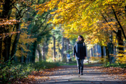 Wandelroute Grolloo