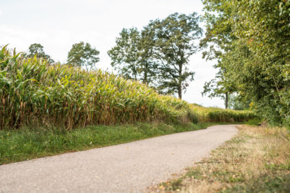 Fietsroute Balen