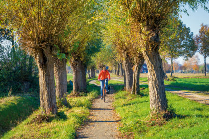 Fietsen door de Maasheggen