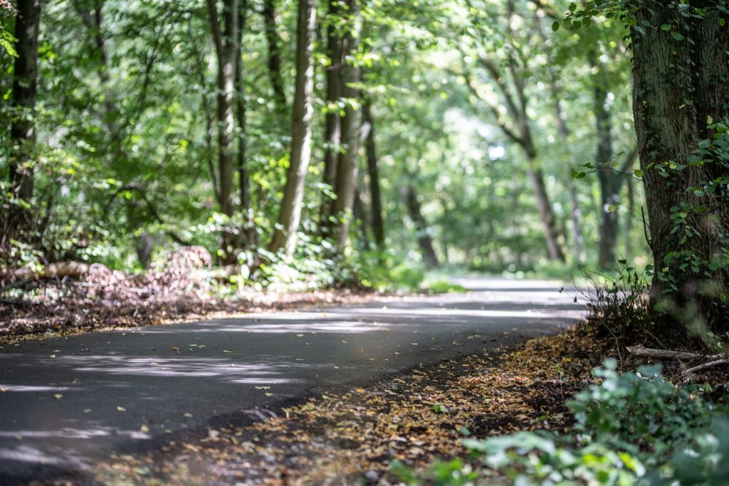 fietsroute Balen