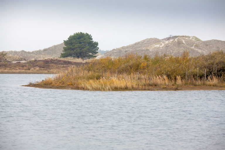 Wandelroute Bergen aan Zee