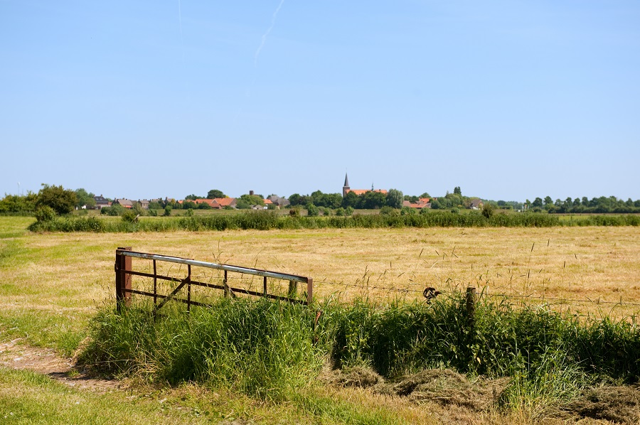 Fietsen door de Maasheggen