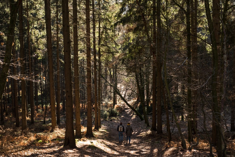 Wandelroute Plasmolen