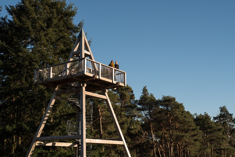 Wandelroute Plasmolen