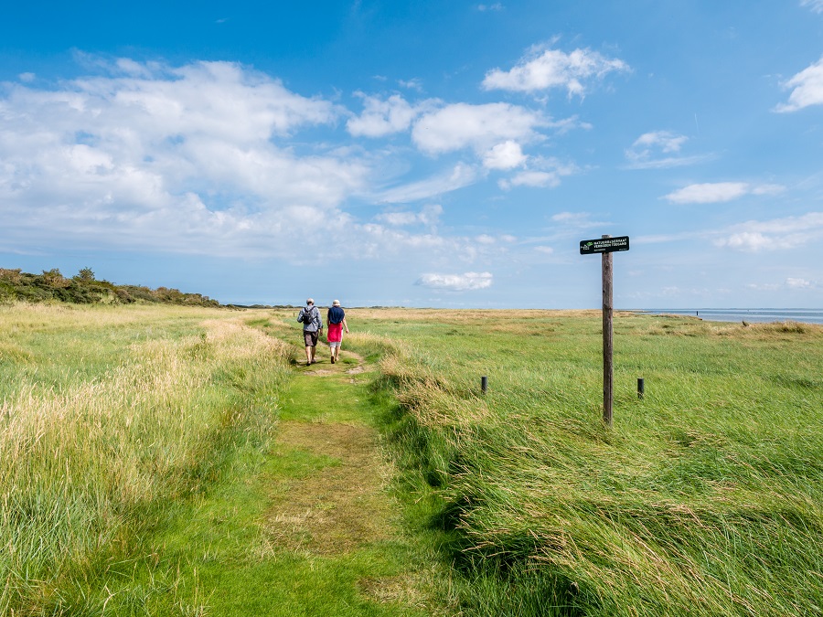 wandelen gezond