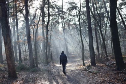 wandelen gezond