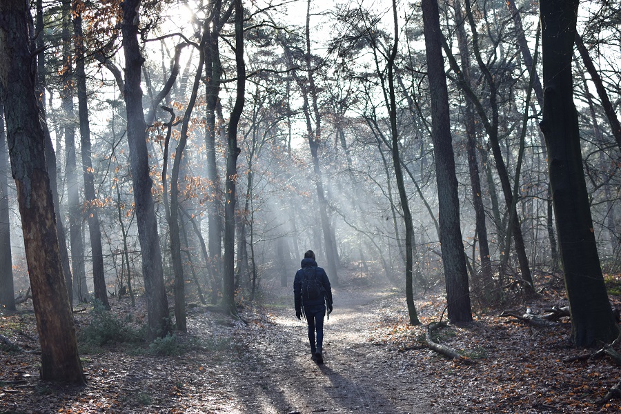 wandelen gezond