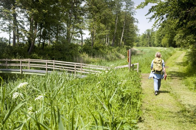 Roggebotzand wandelroute Dronten