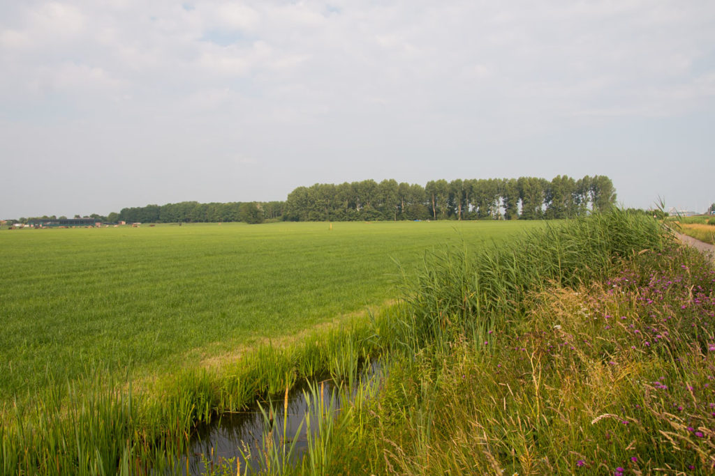 Recreatiegebied in het Groene Hart (Zuid-Holland).