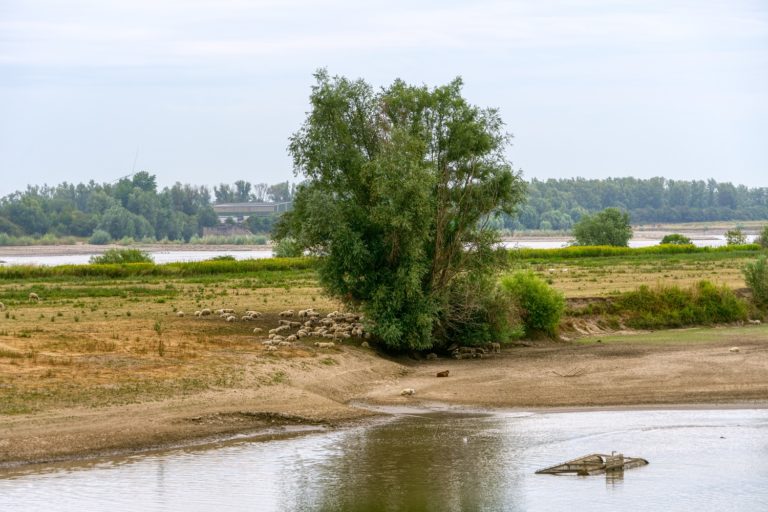 Fietsroute Tiel