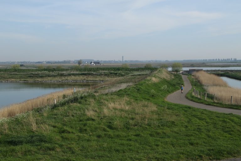 Wandelroute Tholen: vogelen in de Scherpenissepolder