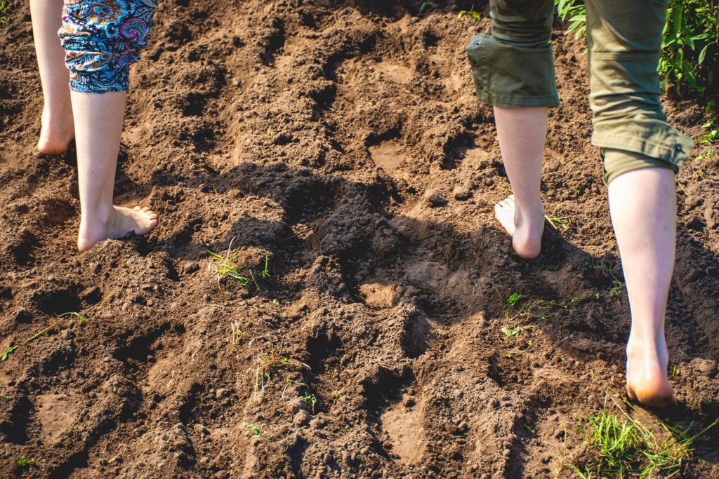 Vijf leuke blotevoetenpaden in Nederland