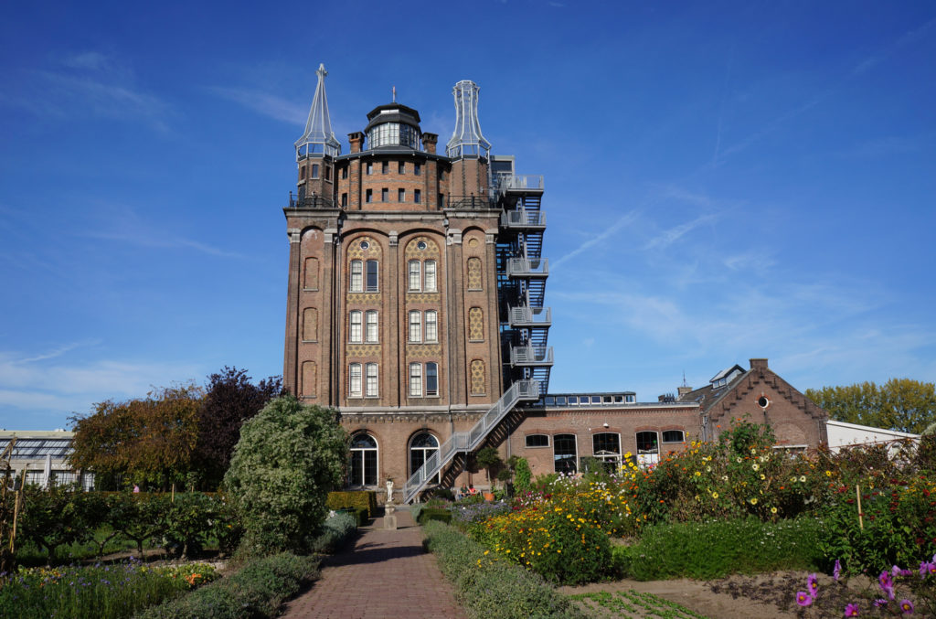 Stadswandeling Dordrecht