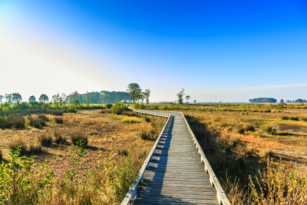 Vijf rolstoelvriendelijke wandelroutes