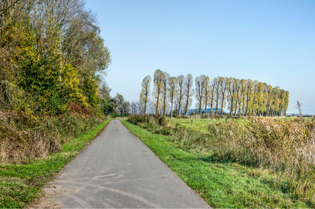 Vijf rolstoelvriendelijke wandelroutes