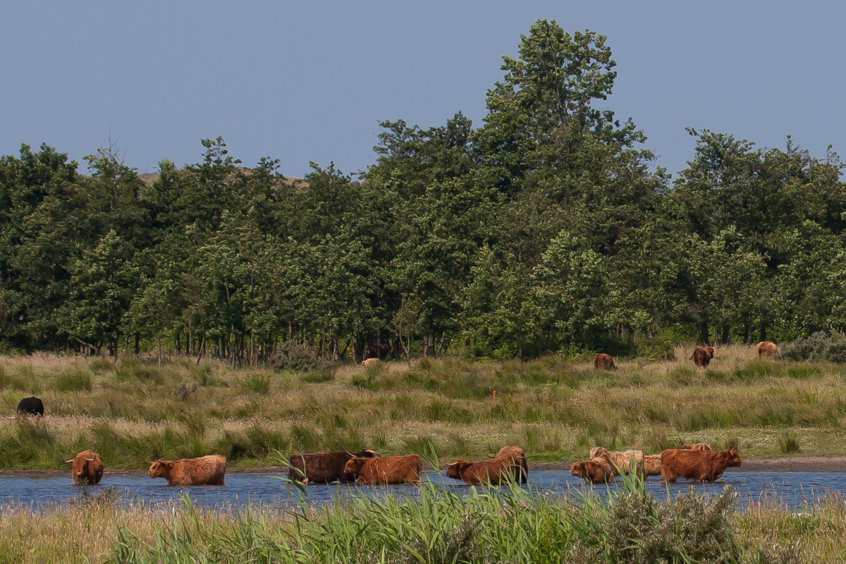 Blog Mark Kras: best warm, ook voor dieren