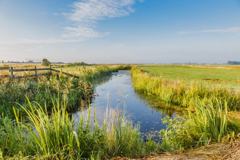 Stadswandeling Delft