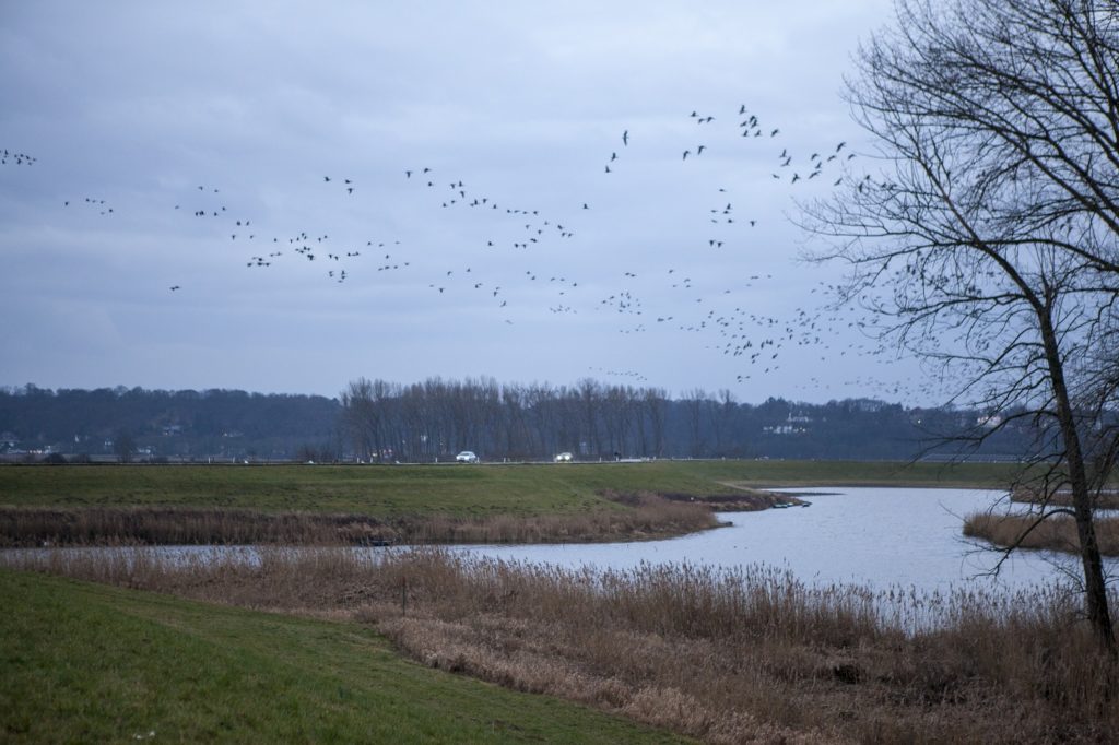 Wandelroute Nijmegen