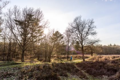 Wandelroute Hilversum