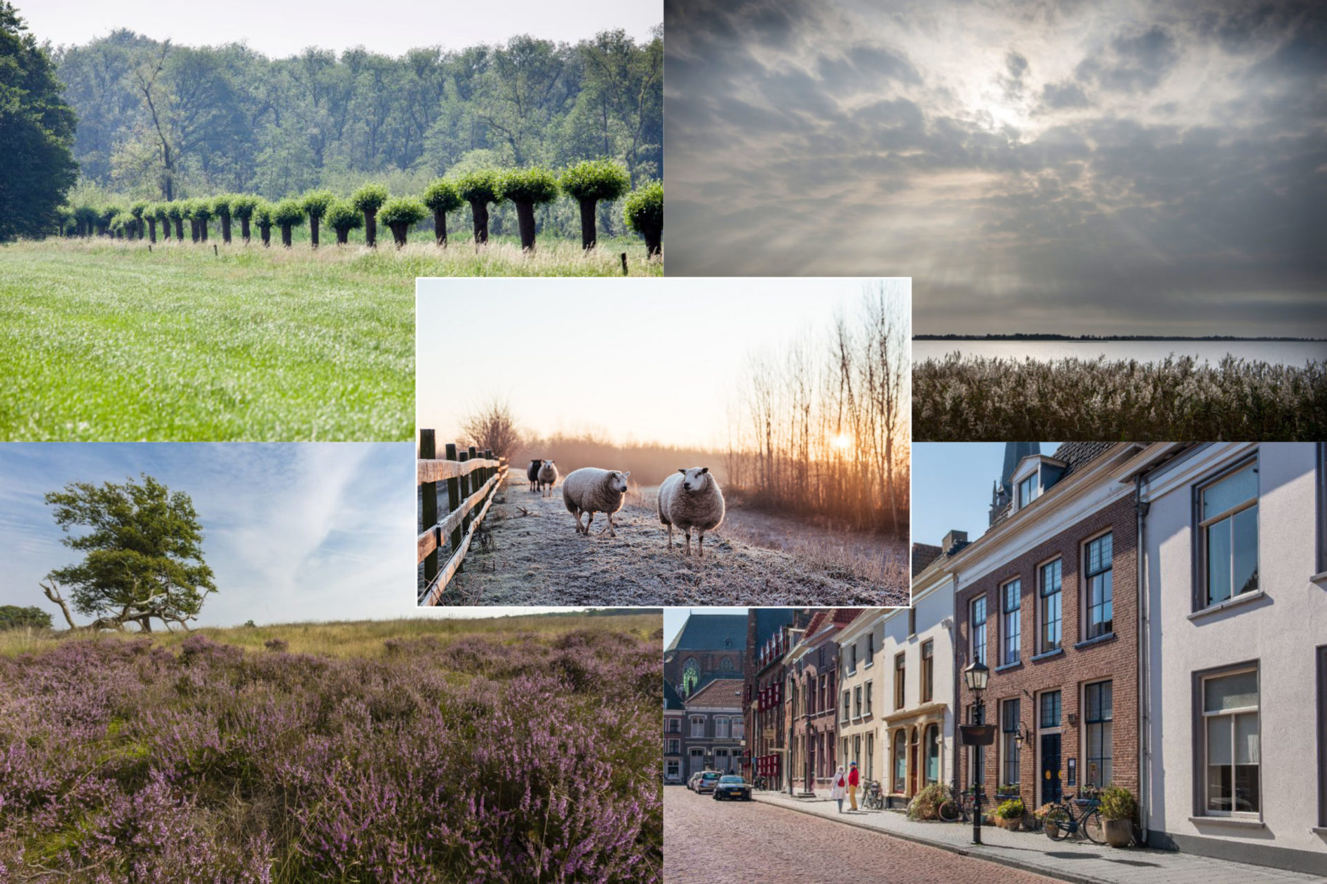 top 5 wandelroutes 2020