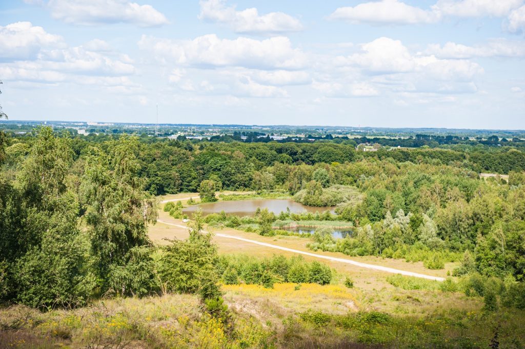 Nederlandse heuvels