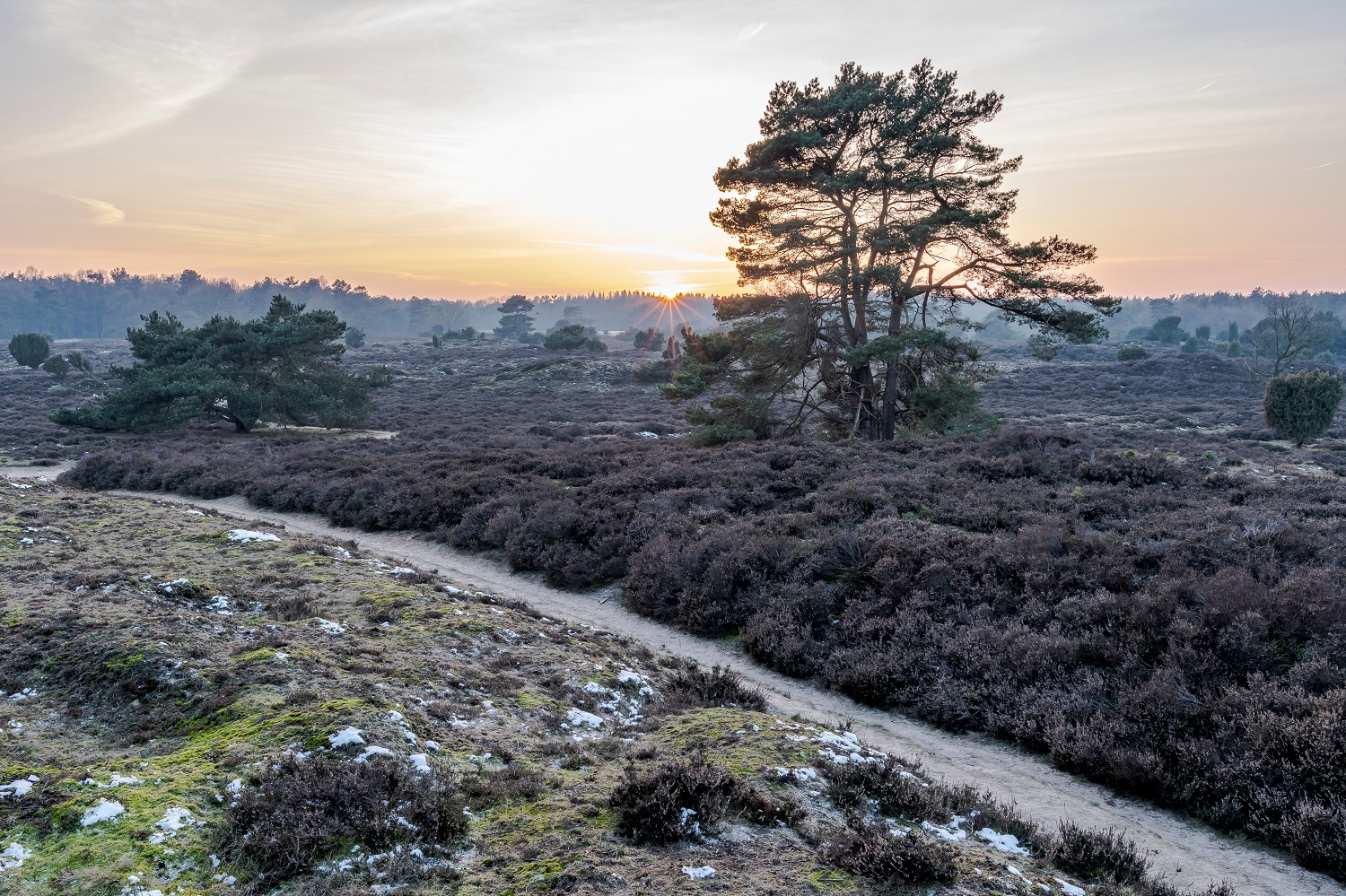 Nederlandse heuvels