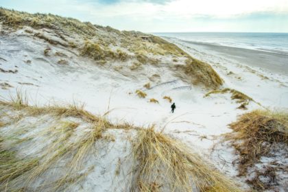 omringd door natuur