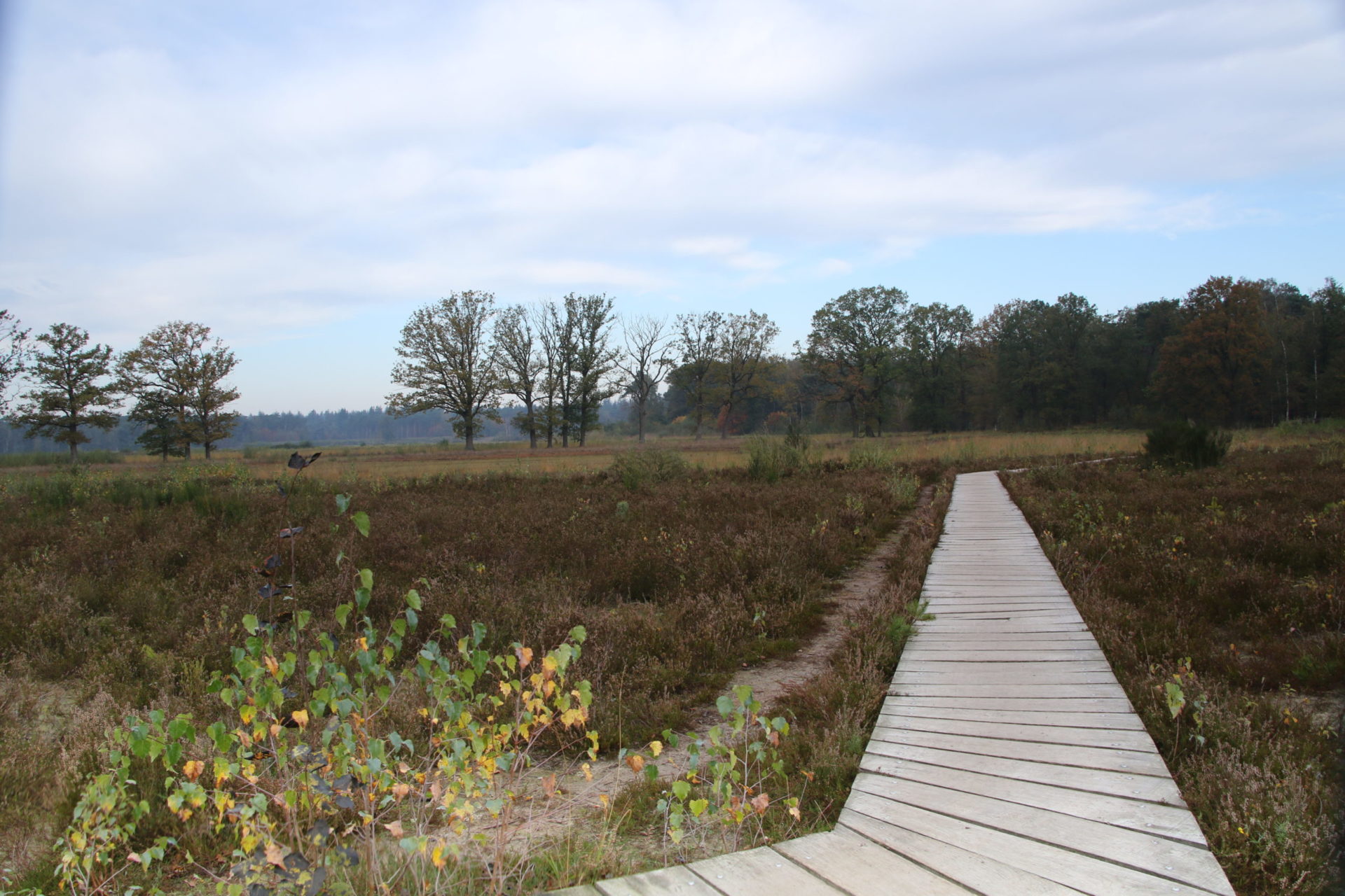 Wandelroute Breda