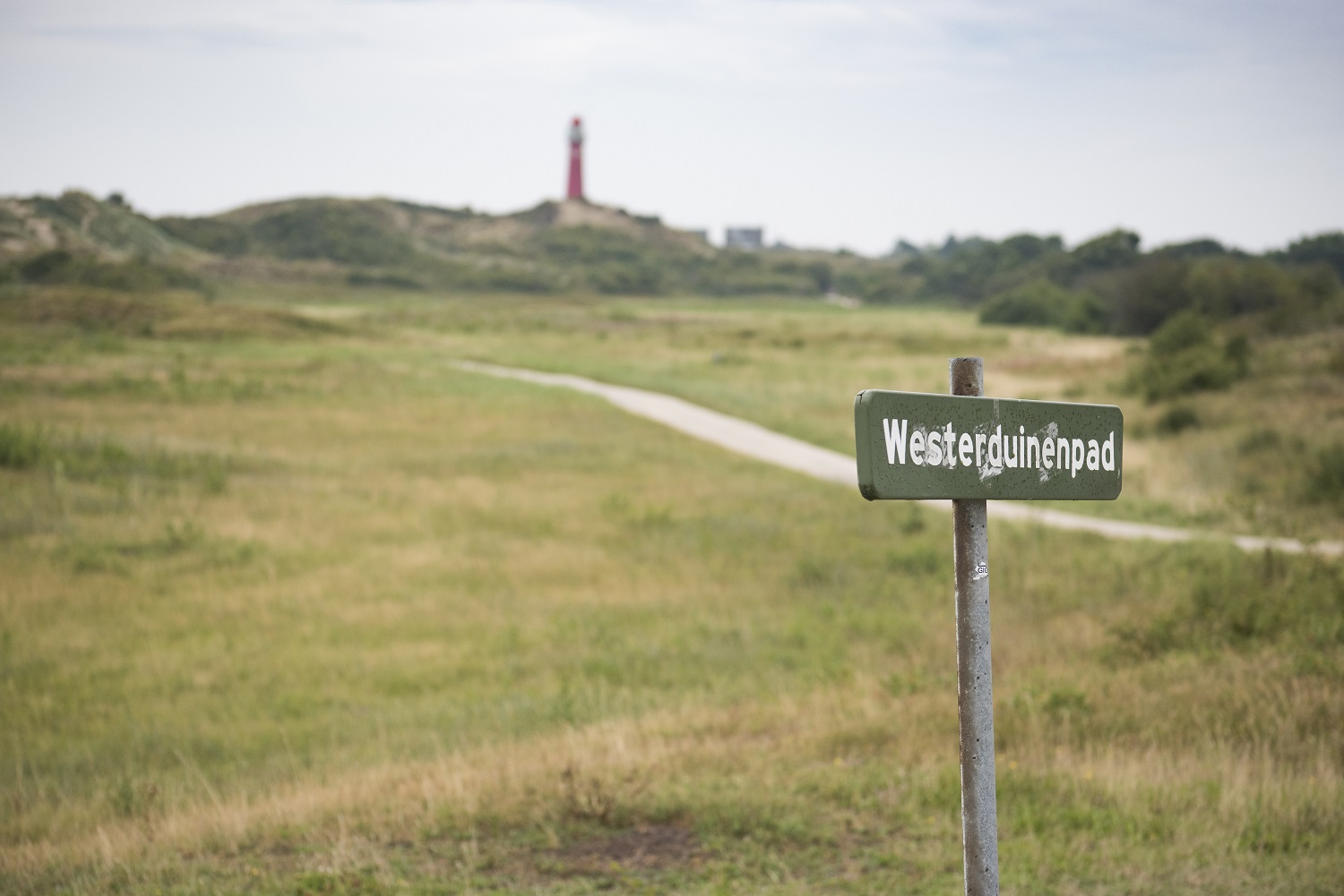 fietsroute Schiermonnikoog