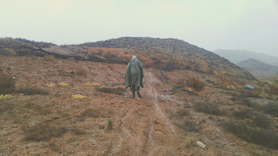 Wandelen in de regen - tips van Toeractief