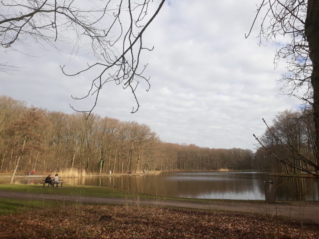 wat neem je mee naar huis